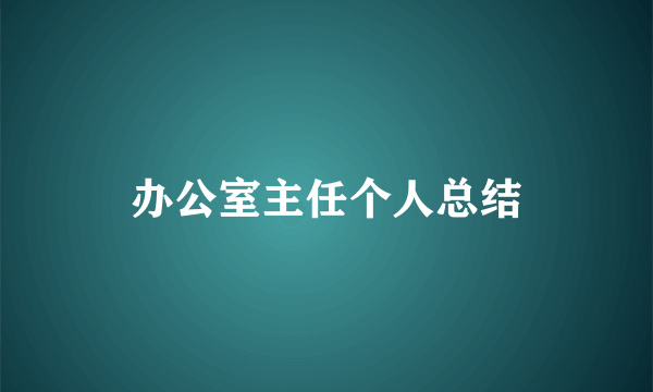 办公室主任个人总结