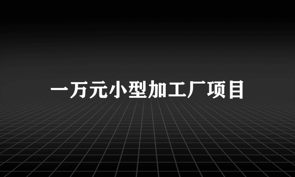 一万元小型加工厂项目