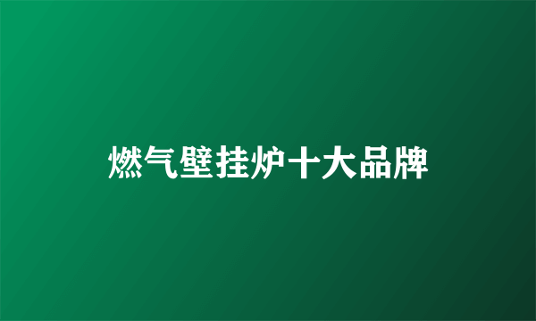 燃气壁挂炉十大品牌