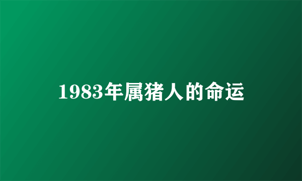 1983年属猪人的命运