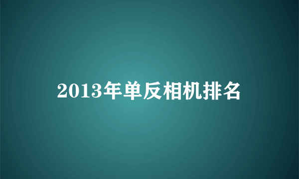 2013年单反相机排名