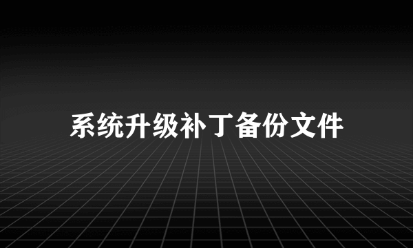 系统升级补丁备份文件