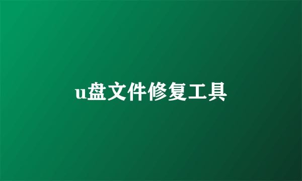 u盘文件修复工具