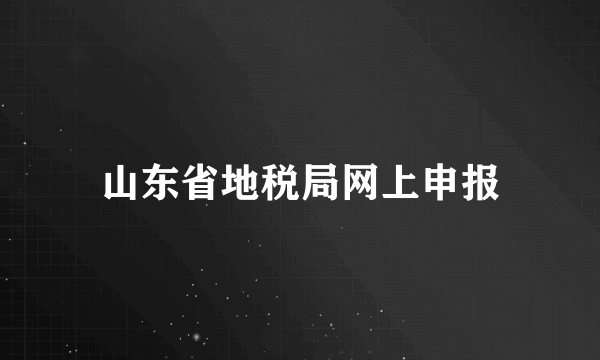 山东省地税局网上申报