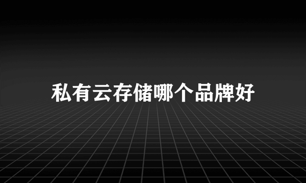 私有云存储哪个品牌好