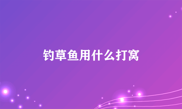 钓草鱼用什么打窝