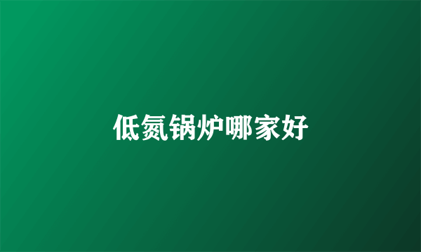 低氮锅炉哪家好
