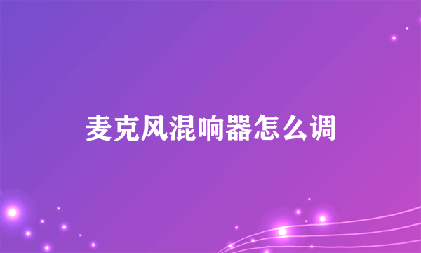 麦克风混响器怎么调