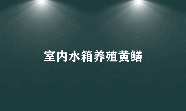 室内水箱养殖黄鳝