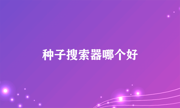 种子搜索器哪个好