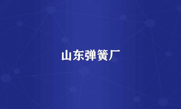 山东弹簧厂