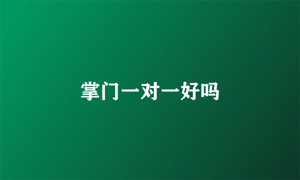 掌门一对一好吗