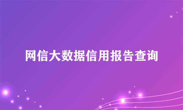 网信大数据信用报告查询