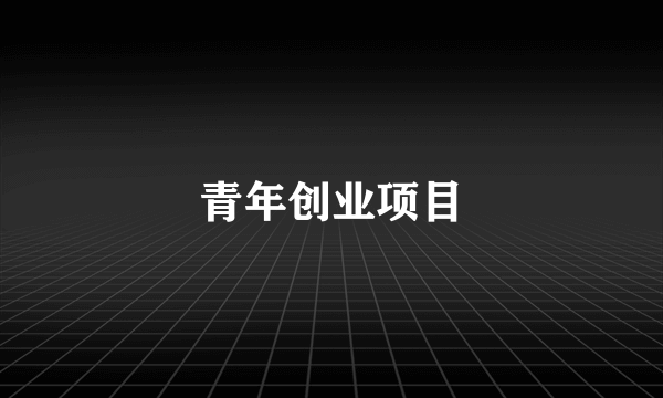 青年创业项目