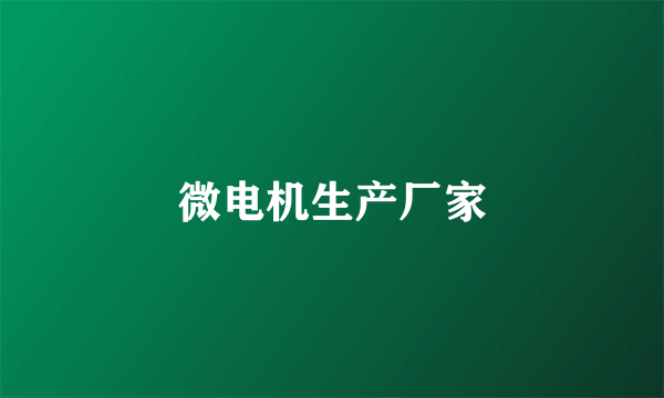 微电机生产厂家