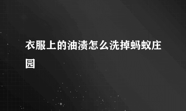 衣服上的油渍怎么洗掉蚂蚁庄园