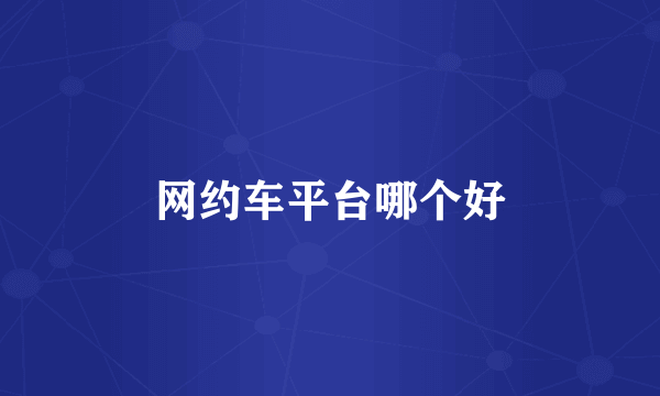 网约车平台哪个好