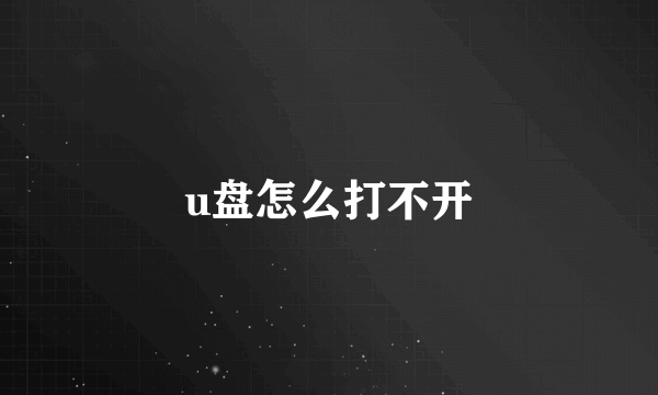 u盘怎么打不开