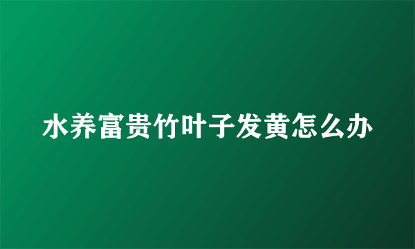 水养富贵竹叶子发黄怎么办