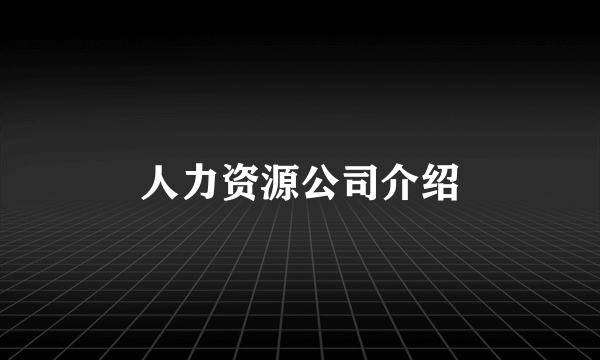 人力资源公司介绍