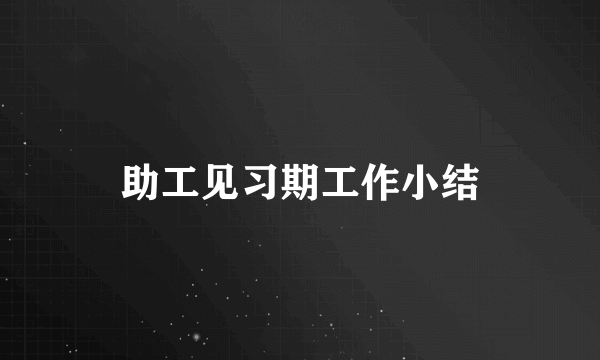 助工见习期工作小结