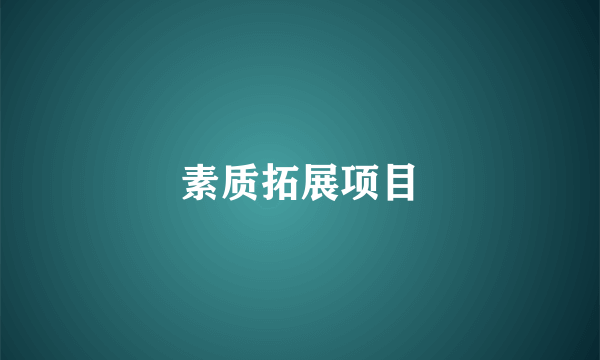 素质拓展项目