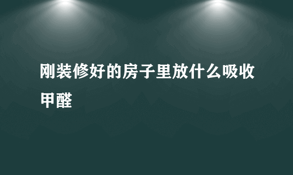 刚装修好的房子里放什么吸收甲醛