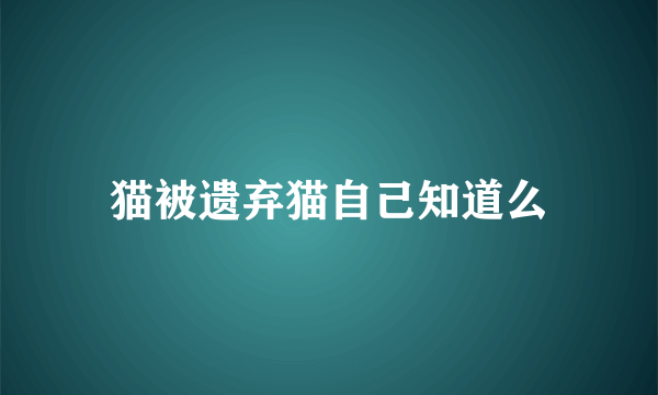 猫被遗弃猫自己知道么
