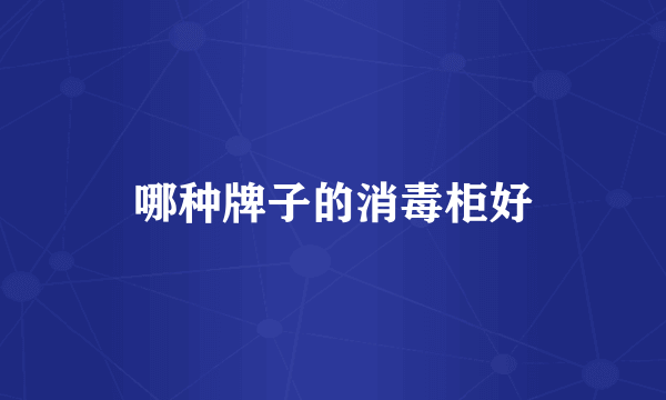 哪种牌子的消毒柜好