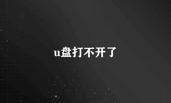 u盘打不开了