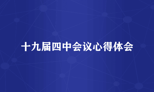 十九届四中会议心得体会