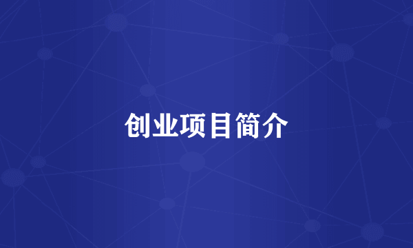 创业项目简介