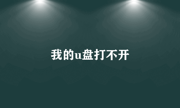 我的u盘打不开