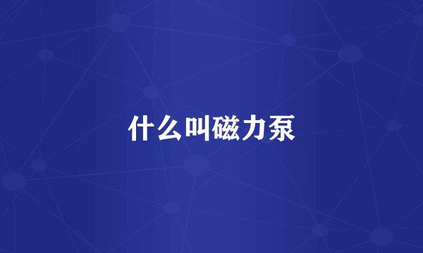 什么叫磁力泵