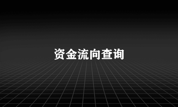 资金流向查询