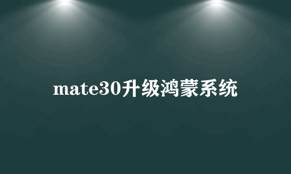 mate30升级鸿蒙系统