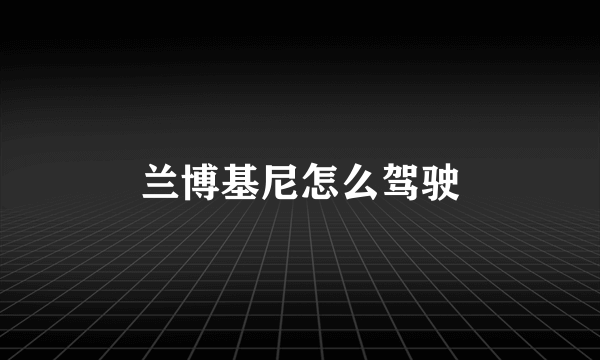 兰博基尼怎么驾驶