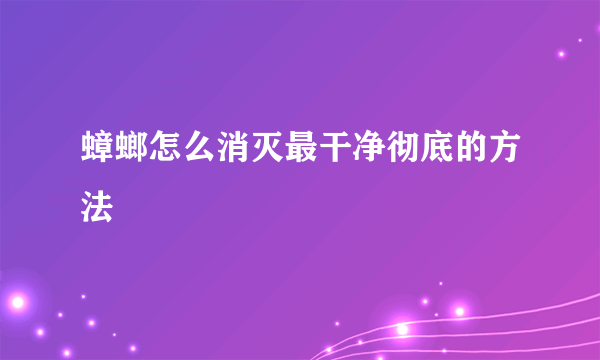 蟑螂怎么消灭最干净彻底的方法