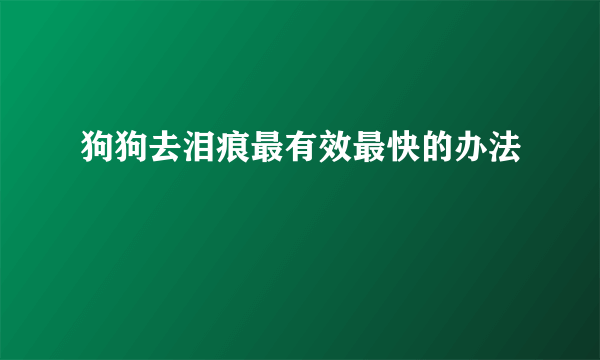 狗狗去泪痕最有效最快的办法