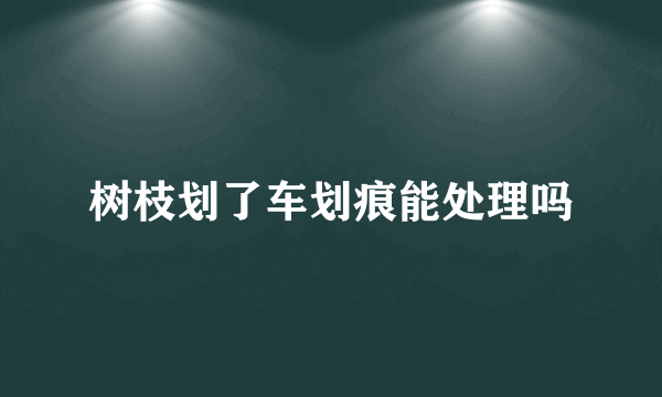 树枝划了车划痕能处理吗