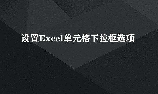 设置Excel单元格下拉框选项