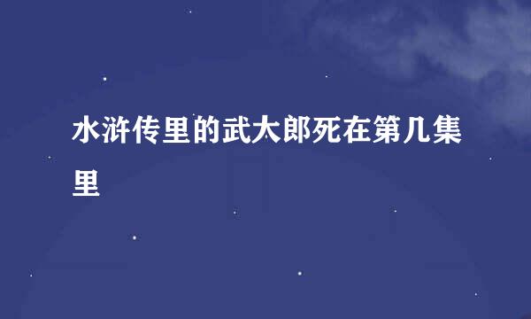 水浒传里的武大郎死在第几集里