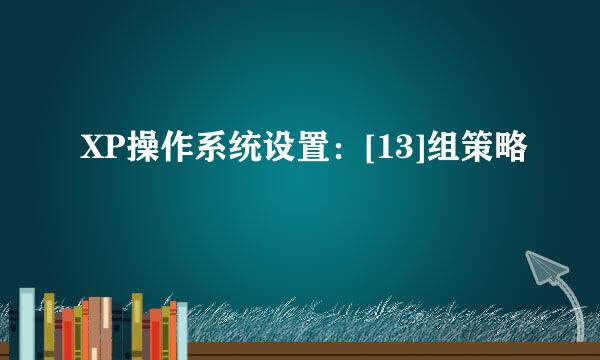 XP操作系统设置：[13]组策略