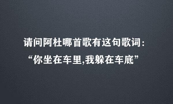 请问阿杜哪首歌有这句歌词：“你坐在车里,我躲在车底”