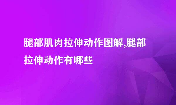 腿部肌肉拉伸动作图解,腿部拉伸动作有哪些