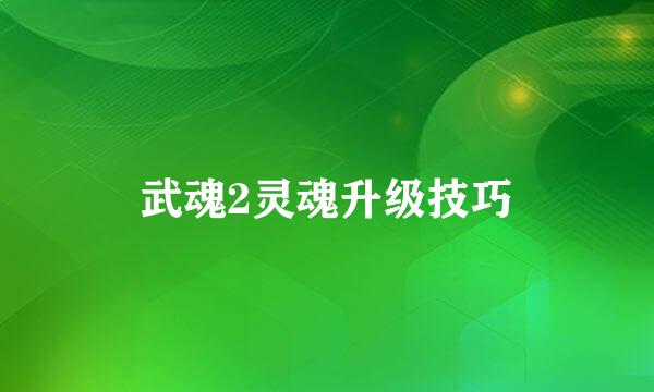 武魂2灵魂升级技巧