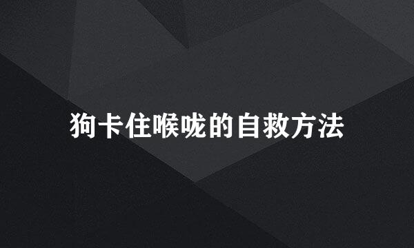 狗卡住喉咙的自救方法