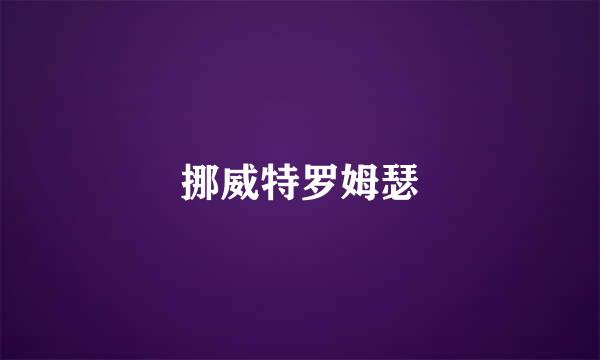 挪威特罗姆瑟
