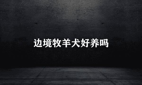 边境牧羊犬好养吗