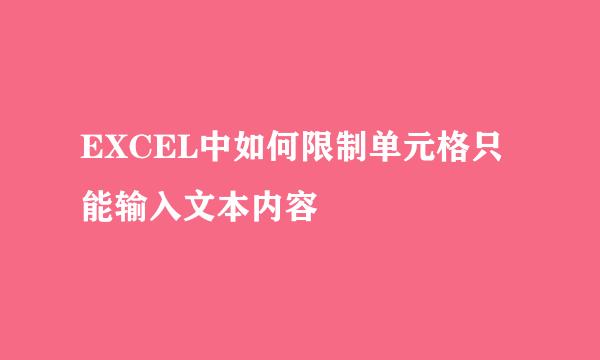 EXCEL中如何限制单元格只能输入文本内容
